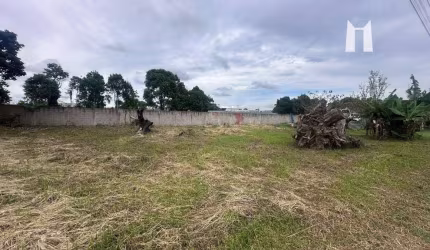 Terreno à venda, 342 m² por R$ 250.000,00 - Salgadinho - Campo Largo/PR