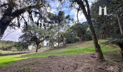 Terreno à venda, 3796 m² por R$ 399.990,00 - Botiatuva - Campo Largo/PR