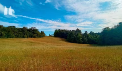 Área à venda, 96800 m² por R$ 2.400.000,00 - Rondinha - Campo Largo/PR
