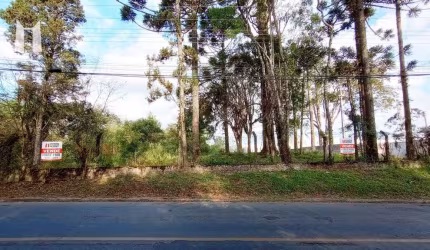 Terreno à venda, 4768 m² por R$ 2.150.000,00 - Vila Santa Terezinha - Campo Largo/PR