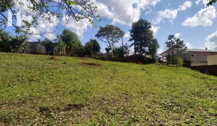 Terreno à venda, 2000 m² por R$ 689.000,00 - Jardim das Palmeiras - Campo Largo/PR