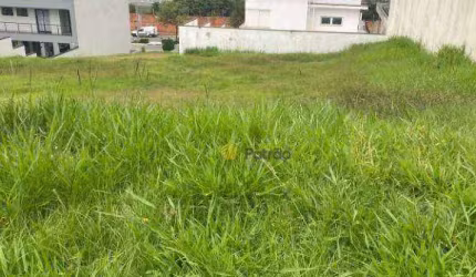Lote/Terreno em Swiss Park