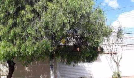 Casa em Jardim Borborema