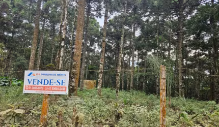 Excelente área de Chácara no Roseira em Colombo