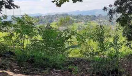 Chácara à venda, 4000 m² por R$ 860.000,00 - Sapé I - Caçapava/SP