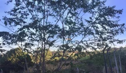 Terreno à venda, 1400 m² por R$ 235.000,00 - Marambaia - Caçapava/SP