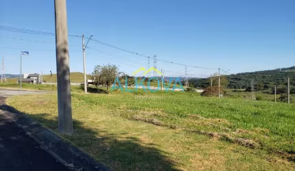 Terreno à venda, 402 m² por R$ 275.000,00 - Santa Luzia - Caçapava/SP