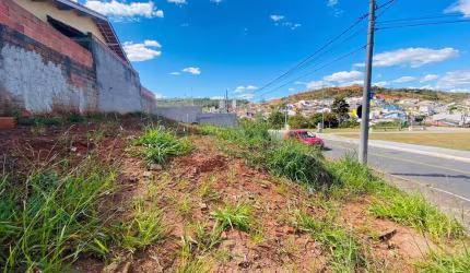 Terreno à venda, 236 m² por R$ 222.600,00 - Jardim Santa Júlia - São José dos Campos/SP