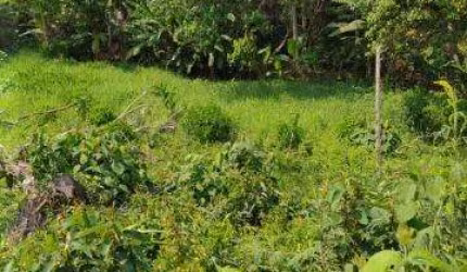 VENDA DE TERRENO NO JD NOVA COTIA, PRÓXIMO AO KM 39 DA RODOVIA RAPOSO TAVARES, EM COTIA/SP, ÓTIMA OPORTUNIDADE de área total de 1.410m². CONSULTE-NOS.