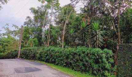 VENDA DE TERRENO NA ESTÂNCIA SÃO DOMINGOS, EM ARUJÁ/SP, OPORTUNIDADE com área de 1.040m² e grande qualidade de vida próximo ao verde! CONSULTE-NOS.