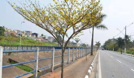 LOCAÇÃO DE ÁREA COMERCIAL EM ARUJÁ/SP, EXCELENTE OPORTUNIDADE DE INVESTIMENTO COM 7.000m², EM UM DOS PONTOS ESTRATÉGICOS DA CIDADE! CONSULTE-NOS.
