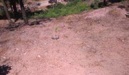 VENDA DE TERRENO NA GRANJA URUPÊS, EM ARUJÁ/SP, OPORTUNIDADE DE 500m² com leve declive e frente para duas ruas. CONSULTE-NOS.