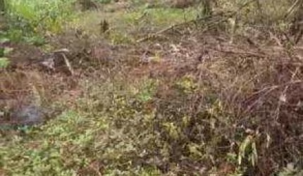 VENDA DE TERRENO NO JARDIM ANCHIETA, EM ITANHAÉM/SP, de 300m² com documentação ok CONSULTE-NOS.