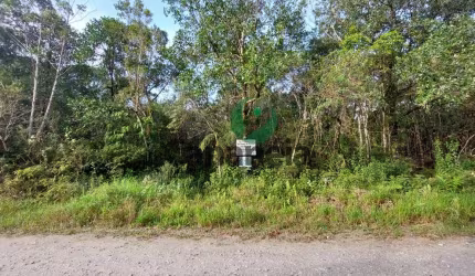 Terreno à venda na Avenida Jefferson Nóbrega Araújo, s/n, Parque Náutico, Cananéia por R$ 60.000