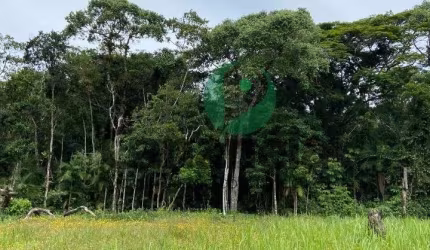 Terreno para venda com 380,88m² no Reserva da Mata - Cananéia/SP