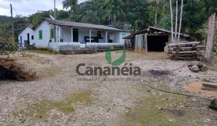 Sítio 4 alqueires - Bairro Ex-Colônia - Cananéia Litoral Sul de SP