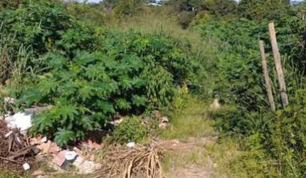 Lote / Terreno de Bairro Para Vender no bairro Nossa Senhora da Conceição em Contagem