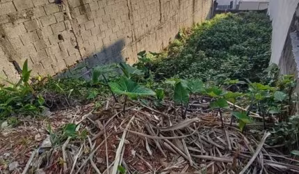 Jardim das Flores TERRENO Próximo Piraporinha Socorro excelente rua