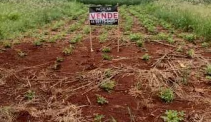 Terreno para Venda em Floresta, Jardim Imperial II