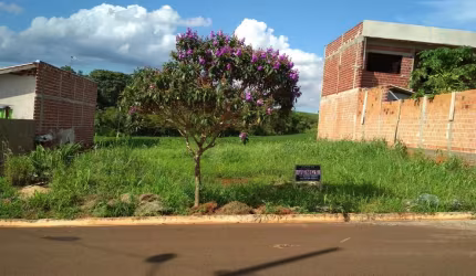 Terreno para Venda em Floresta, Nova Floresta I