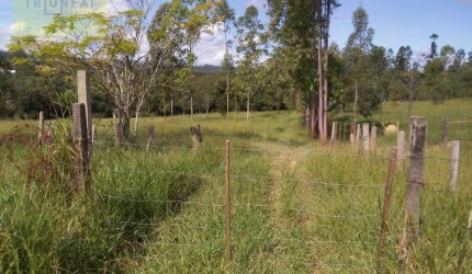 Área à venda, 20000 m² por R$ 250.000,00 - Salto de Pirapora - Salto de Pirapora/SP