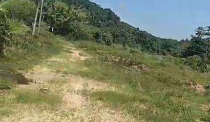 Sítio à venda, 145200 m² por R$ 800.000,00 - Zona Rural. - Juquiá/SP