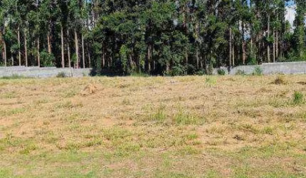 Terreno à venda, 1000 m² por R$ 276.500,00 - Condomínio Reserva São José - Salto de Pirapora/SP