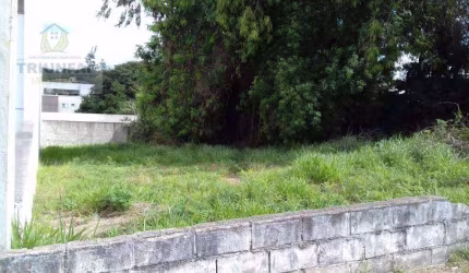 Terreno para alugar, 569 m² - Parque Bela Vista - Votorantim/SP