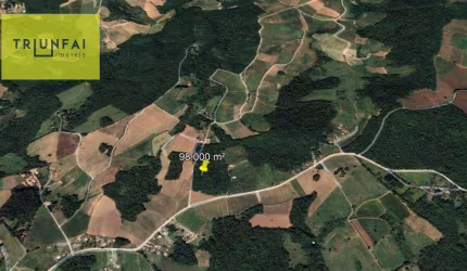 Área à venda, 98000 m² por R$ 500.000,00 - Parque da Torre - Piedade/SP