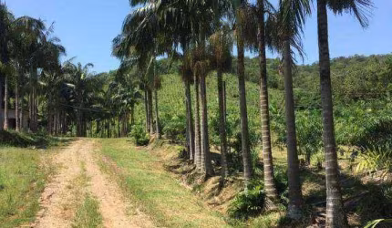 Fazenda com 5 dormitórios à venda, 4822600 m² por R$ 8.100.000,00 - Área Rural - Morretes/PR