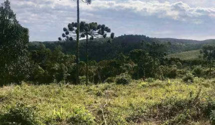 Chácara à venda, 20000 m² por R$ 200.000,00 - Centro - Bocaiúva do Sul/PR