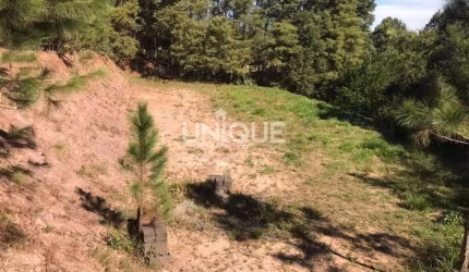 Terreno À Venda, 1810 M² Por R$ 250.000,00 - Centro - Jarinu/Sp