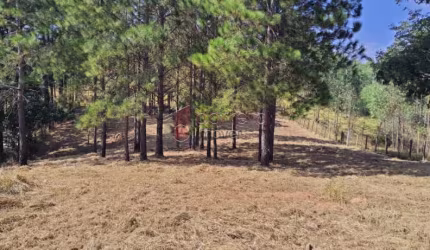 TERRENO À VENDA PARQUE ESPELHO D`ÁGUA - BAIRRO MATO DENTRO - JUNDIAÍ/SP