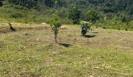 SITIO DE 4.500m² PLANO