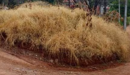 Terrenos para venda em Atibaia no bairro Jardim São Felipe