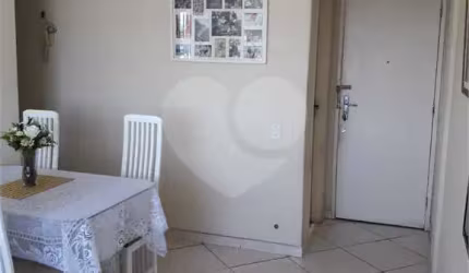 Apartamento com 3 quartos à venda em São Francisco Xavier - RJ