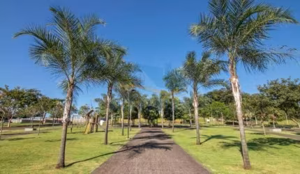 Terreno Condomínio - Ribeirão Preto - Bonfim Paulista - Região Sul