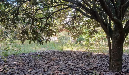 TERRENO DE CHÁCARA A VENDA NO PORTAL DE PIRAPORA