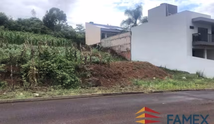 TERRENO À VENDA- BAIRRO CRISTO REI   PATO BRANCO/PR - TE530