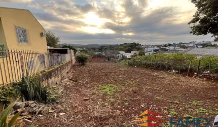 TERRENO À VENDA NO BAIRRO SÃO FRANCISCO - TE849