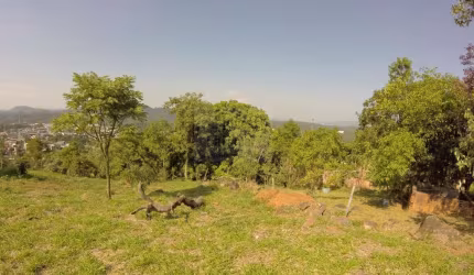 Terreno para Venda em Cajamar, Paraíso (Polvilho)