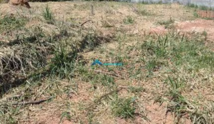 Terreno C/ 1.000 M², Boa Topografia, Bairro Colonia Jundiaí (Aceita Permuta)