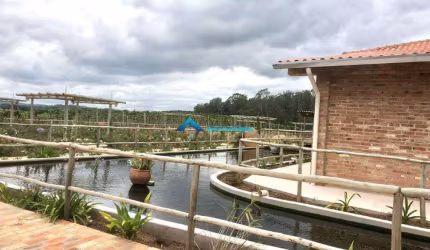 Área a Venda com 117.000.00 m² contando com uma Parreira com uvas especiais c/ infraestrutura