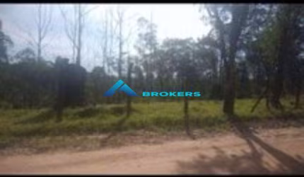 Terreno C/ 5.000 m² - Bairro Pau Arcado