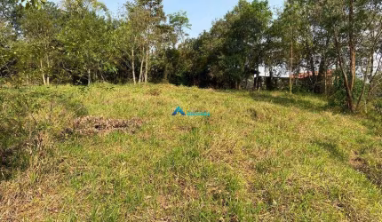 Terreno à Venda c/ 5141m² - Bairro Lagoa dos Patos