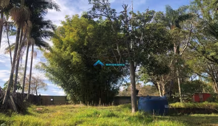 Sítio / Área C/ 17.000 M², Bairro do Castanho, Jundiaí