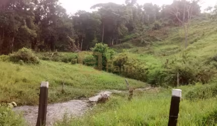 Vendo fazenda em arataca de 116 hectares