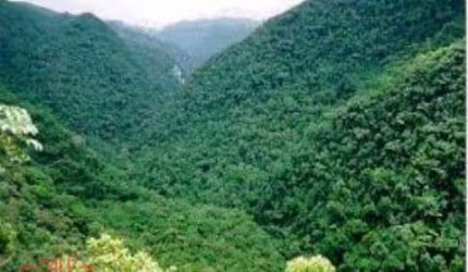 Área Reflorestamento FAZENDA À VENDA DE PARA COMPENSAÇÃO DE  RESERVA LEGAL, NO INTERIOR DE SÃO PAULO