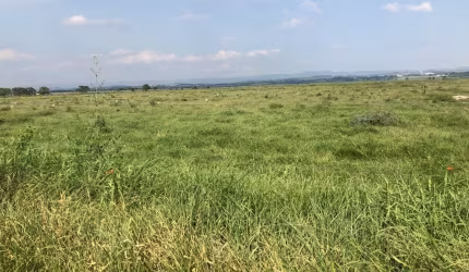 Fazenda plana