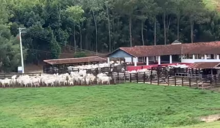 Maravilhosa fazenda